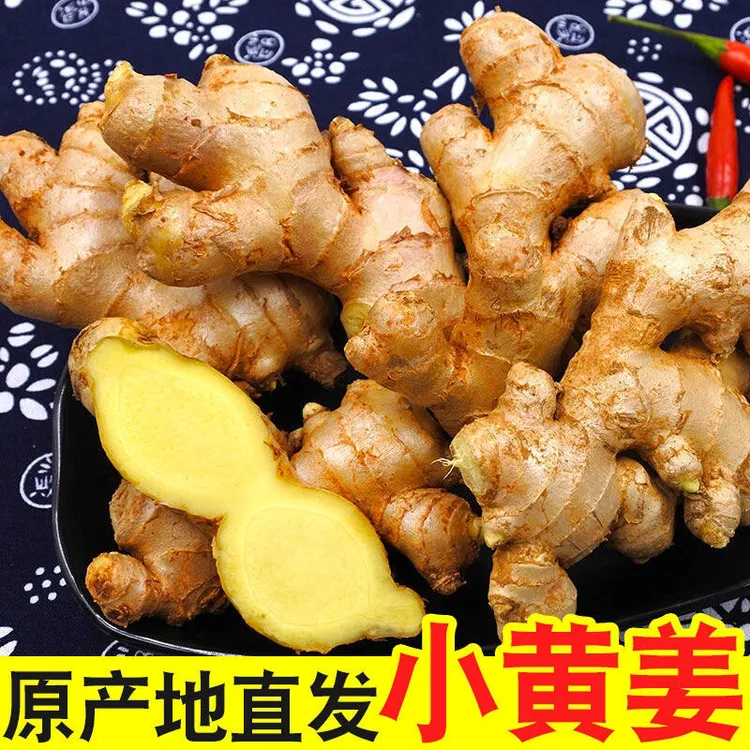 正宗云南小黄姜生姜批发现挖新姜嫩姜老姜仔姜月子姜沙姜当季鲜姜