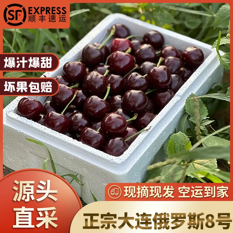 自家果园直发大连陆地樱桃俄罗斯八号个头大肉厚甜度高脆爽爆汁