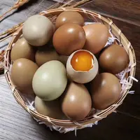 【山鸡哥专属】农家散养新鲜营养七彩山鸡蛋山林纯五谷喂养