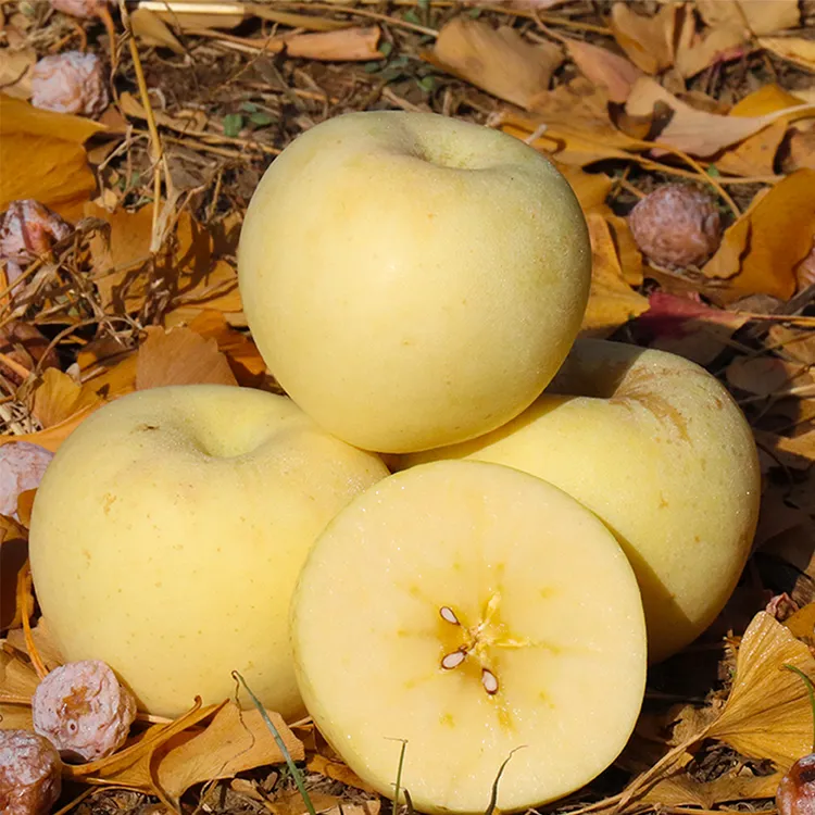 山东烟台奶油富士苹果水果脆甜水果整箱产地直发新鲜水果