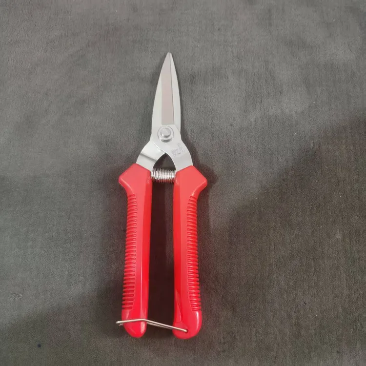 罗定牌果剪长梢剪皇帝柑稀果子剪摘果剪刀园艺园林修枝修花采果剪