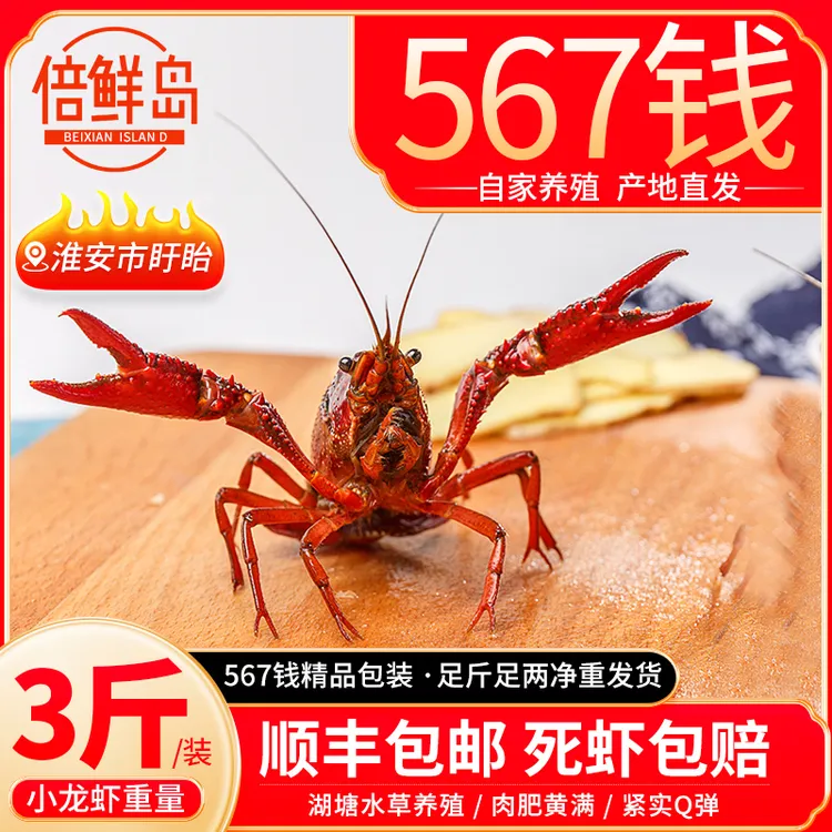 【精品中大虾3斤装可批发】江苏盱眙兴化小龙虾部分地区包邮