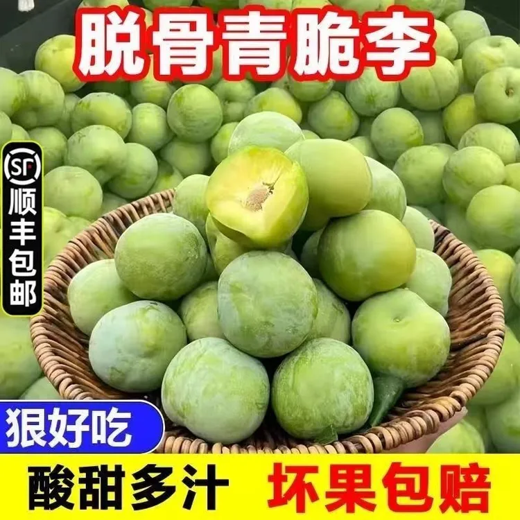 顺丰高山青脆脱骨李四川脱骨脆李子四川特产青脆李子巫山脱骨脆李