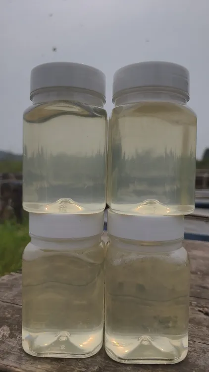 蜂农自产槐花蜜（500g*4瓶）