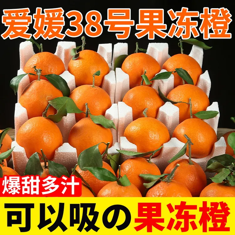正宗四川爱媛38号果冻橙新鲜现摘孕妇水果果园采摘甜非橘子包邮