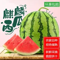 麒麟西瓜新鲜云南西瓜时令应季水果甜瓜新鲜现摘清甜可口现货速发
