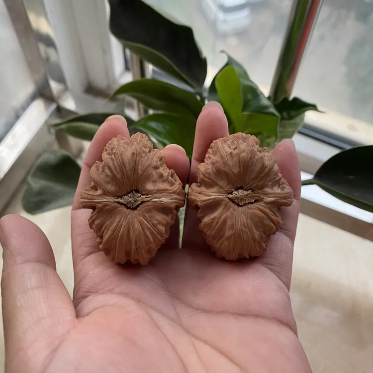 文玩核桃精品卡姿兰大眼睛白狮子42尺寸一物一图