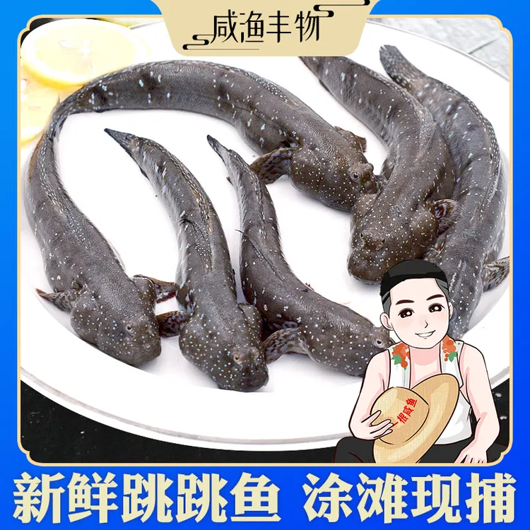 食用弹涂鱼跳跳鱼东海速冻海鲜水产海鱼煲汤无刺