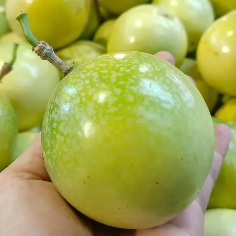 新鲜现摘钦蜜9号百香果中果当季水果香甜多汁口感饱满