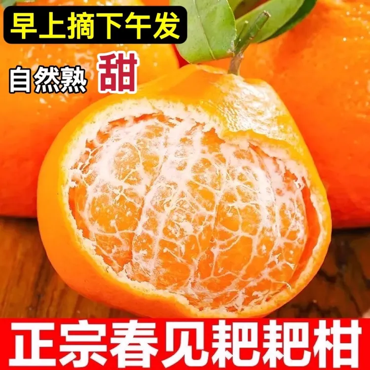 新鲜高山丑橘四川耙耙柑时令水果当季整箱正宗丑柑橘子桔子粑粑柑