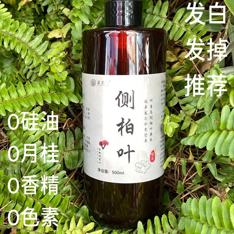 朵倍蔻侧柏叶养发润发固发洗发水中草药天然草本植萃洗发水家庭装