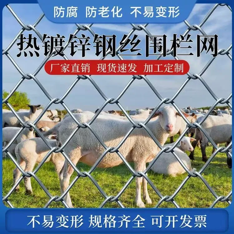 热镀锌铁丝网围栏果园养殖防护钢丝网养鸡养狗不生锈勾花网格栏网