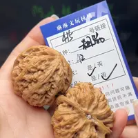 文玩核桃吊坠核桃树415