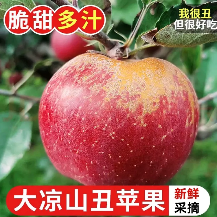 大凉山丑苹果新鲜脆甜多汁冰糖心水果产地直发