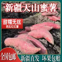 【攒劲专属】新疆特产西瓜红红薯天山蜜薯红心番薯甜糯无丝5斤.