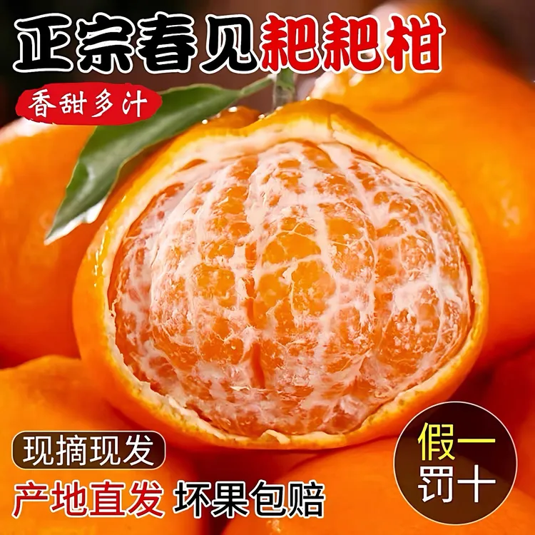 【新鲜直采】正宗四川春见耙耙柑产地直发橘子新鲜清甜孕妇VC水果