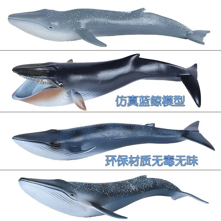 跨境鲨鱼货源生物蓝鲸动物独角鲸模型恐龙玩具3-6岁大恐龙霸王龙
