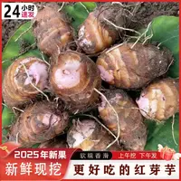 正宗江西铅山红芽芋口感粉糯农家自种精选小芋毛芋包邮
