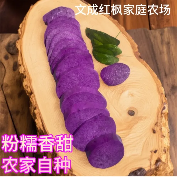 温州文成高山紫糯米山药新鲜现挖营养丰富口感粉面软糯产地直发
