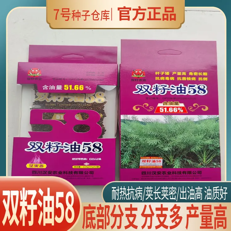升级版双籽油58油菜种子高产油菜种子