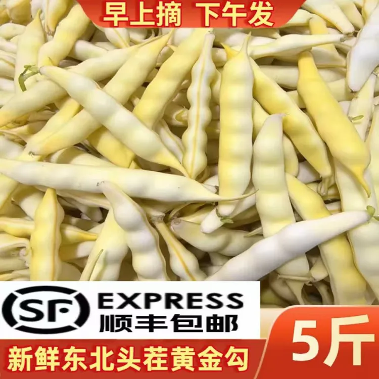 东北黄金勾红金钩混种发货豆角农家小园漏天种植