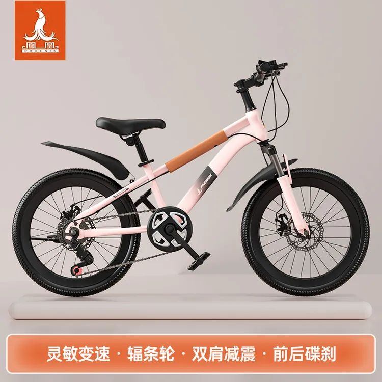 【凤凰】儿童自行车6-12岁2-4-6岁8-15岁山地中大童儿童单车童车