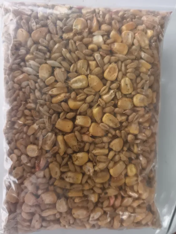自制草鱼青鱼窝料五包