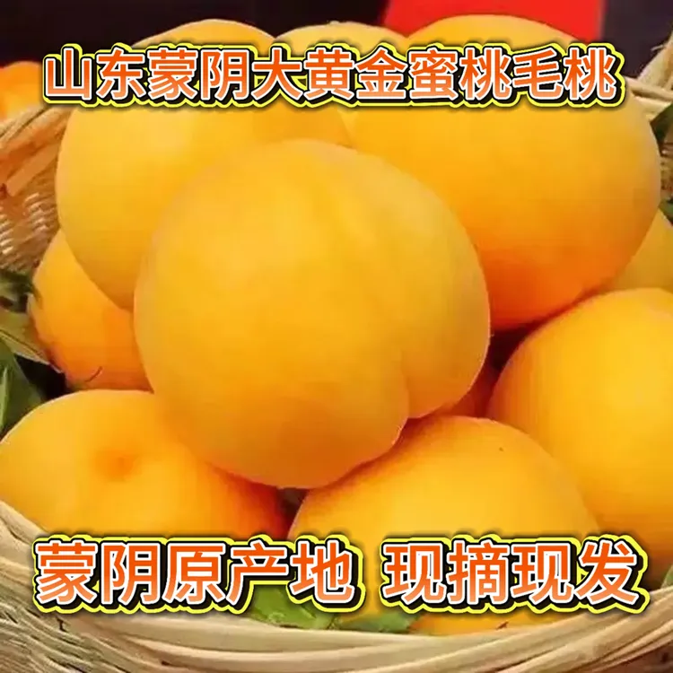 山东蒙阴正宗新鲜现摘锦绣黄桃脆甜软糯香甜多汁自家水果黄金蜜桃