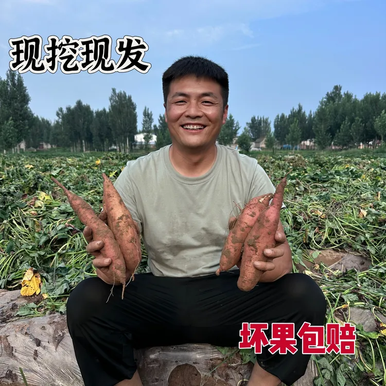 正宗河南哈密冰糖薯 番薯产地直发净重4.5斤大中小果