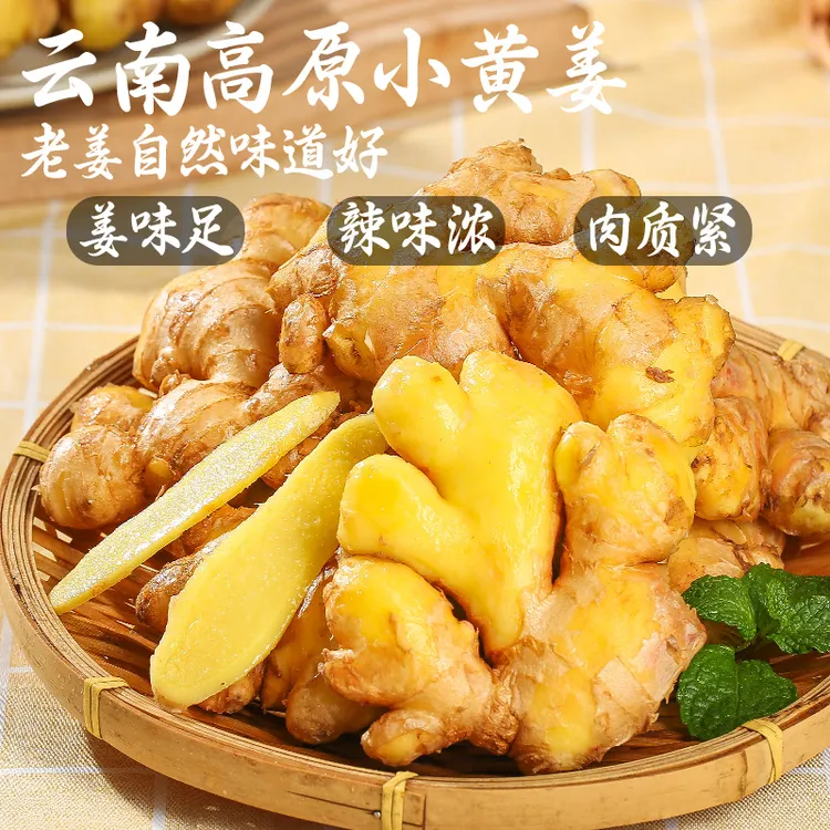 【恰好庄园】云南小黄姜新鲜生姜高原山辛辣十足老姜嫩调味佳品包邮