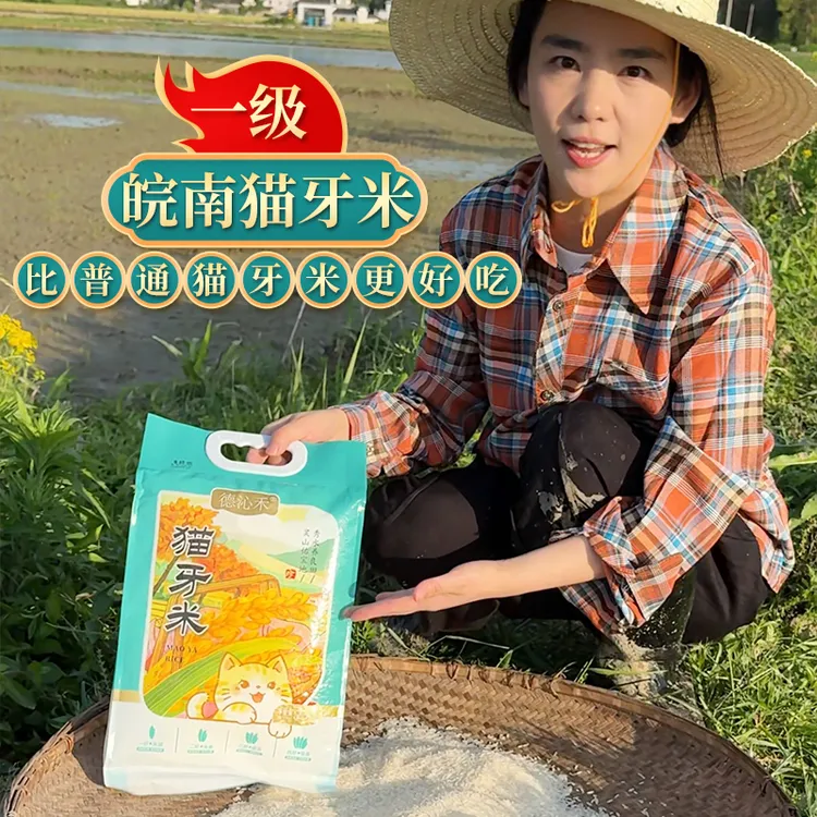 德沁禾2025年皖南新米广德猫牙米鲜米长粒米长粒香米炒饭大米热销