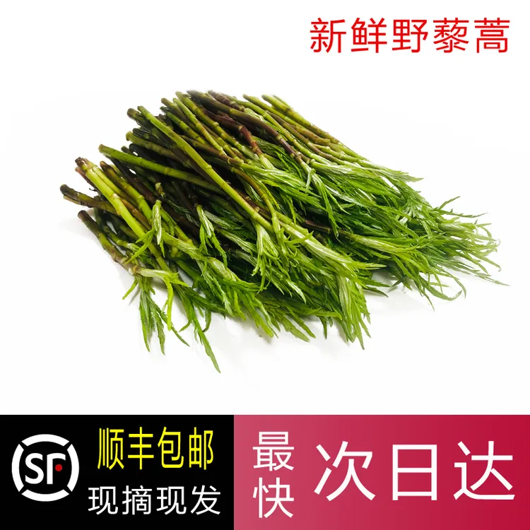 新鲜野生藜蒿湖北特产应季野菜现摘现发去叶泥蒿顺丰发货