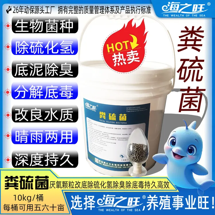 海之旺厂家纯生物深度改底降解水体硫化氢氨氮分解死草烂藻有机质厌氧粪硫菌