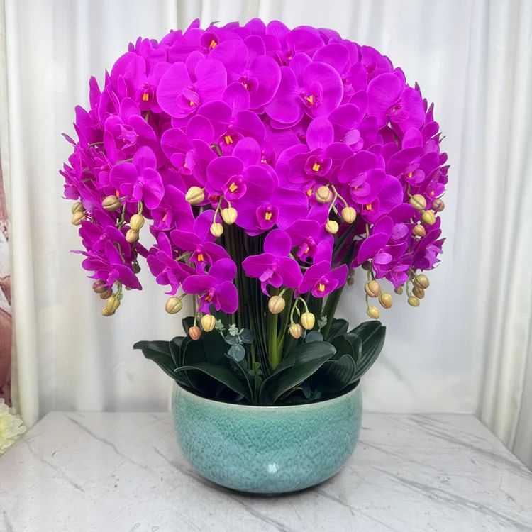 蝴蝶兰仿真花客厅高档花过胶手感保湿花室内桌面摆假花蝴蝶兰盆栽