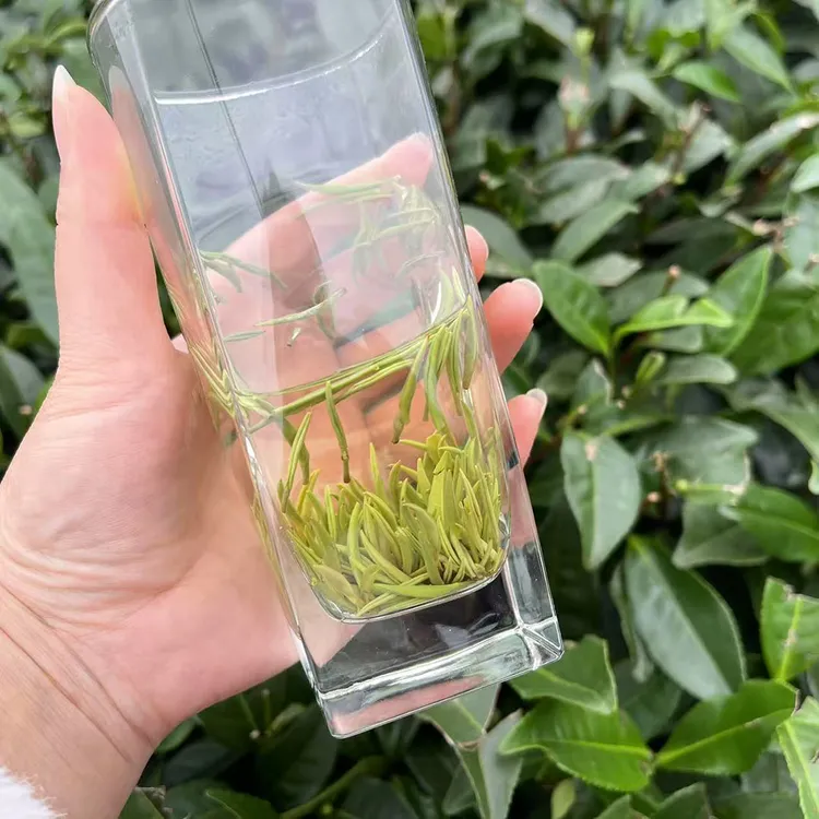 高端兰妃雅安名山兰花茶蒙顶山茗茶好喝不苦回甘持久茶农直销包邮