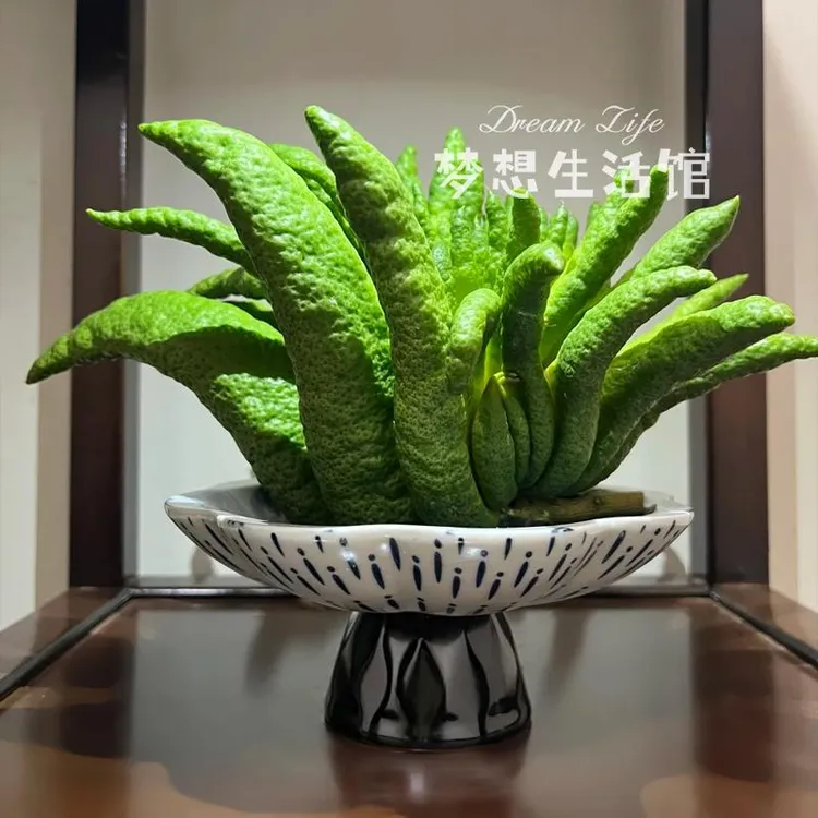 W佛手柑托盘器皿养花观赏花盆摆件香橼花器摆放盘容器中式复古花