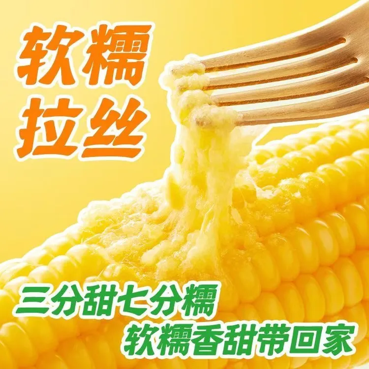 【试吃两根】整箱10根黄金糯东北精品糯九香甜软糯拉丝带箱5斤