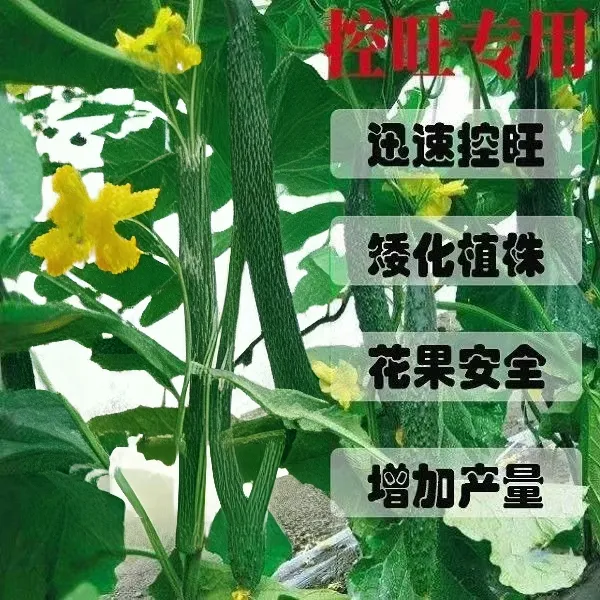硕达益农控旺不伤瓜果增产增收瓜果蔬菜通用正品缩节不控花果