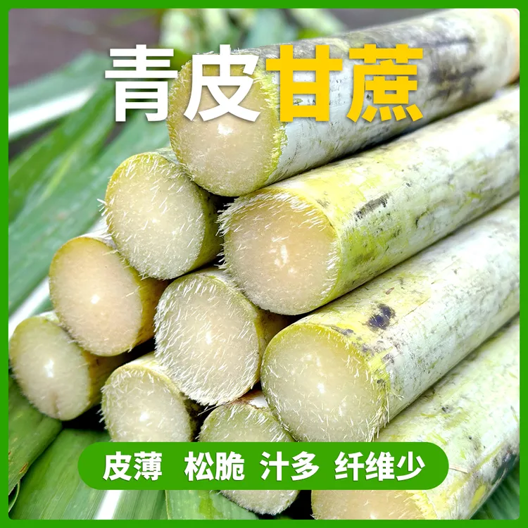 【村长助农】四川泸州新鲜青皮甘蔗现砍现发清甜多汁当季水果5斤/9斤包邮