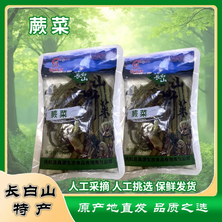 东北野生山蕨菜 新鲜采摘 嫩滑爽口 山野菜 健康环保野生