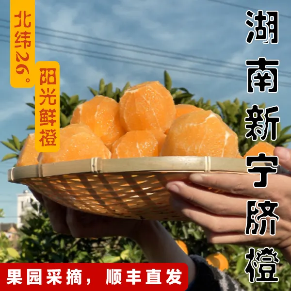 【北纬26°橙】产地直发纽荷尔脐橙新鲜水果柑橘果园现摘汁甜水多