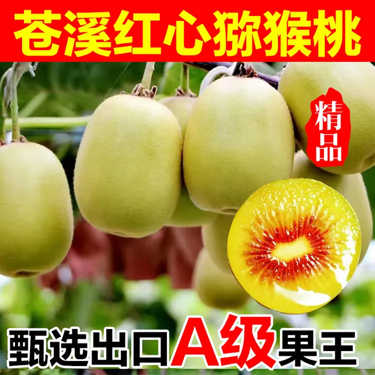 苍溪红心猕猴桃四川广元苍溪红心猕猴桃奇异果美味多汁包邮