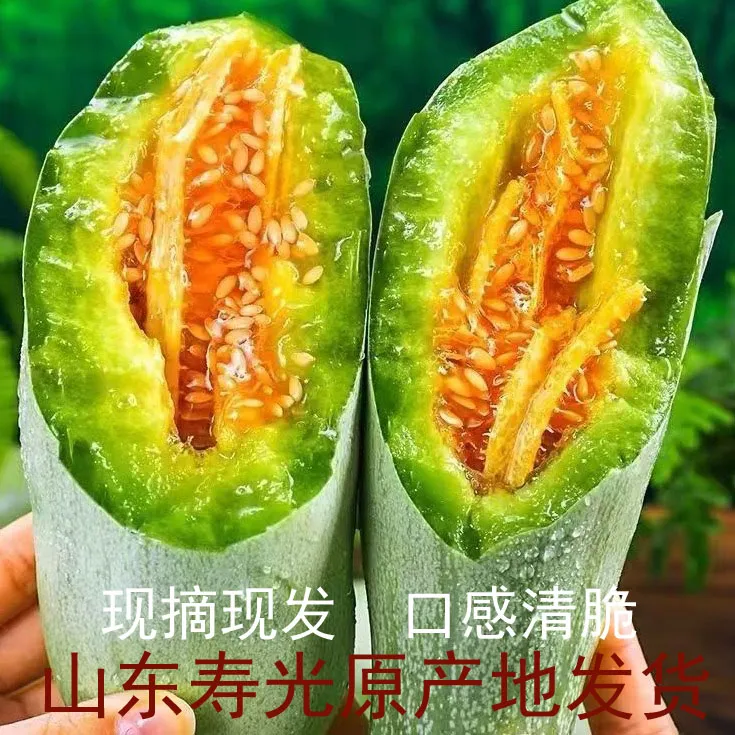 【粉丝福利】山东寿光头茬羊角蜜甜瓜新鲜现摘应季水果脆甜甜瓜