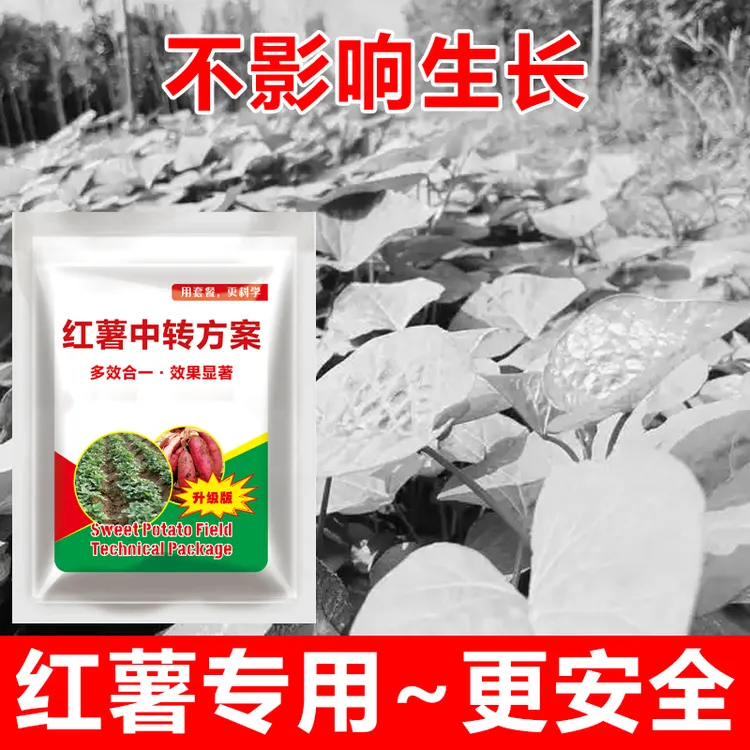 1红薯苗使用不影响作物正常生长不伤红薯喷雾有机肥料