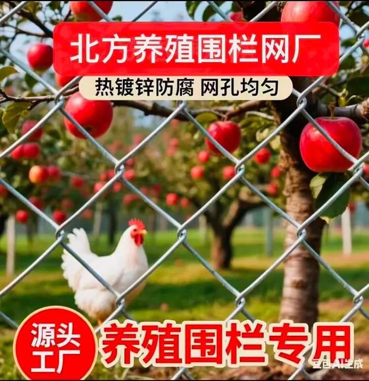 鸡鸭牛羊围栏网勾花网铁丝网 猪狗围栏网 鱼塘果园防护网 护栏网