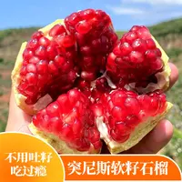 【坏果包赔】四川会理突尼斯软籽石榴4.5斤装新鲜采摘发货软籽