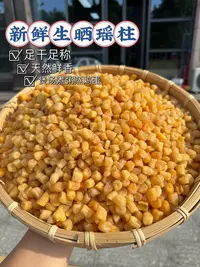 北海新鲜生晒瑶柱可煲汤煲粥蒸水蛋的海鲜干货特产250g-500g
