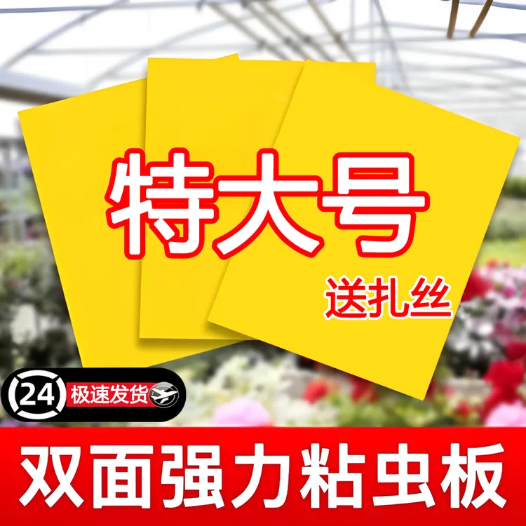 【特大号】黄板双面粘虫板果蝇诱虫板菜地驱虫神器驱蚊蝇苍蝇防虫贴