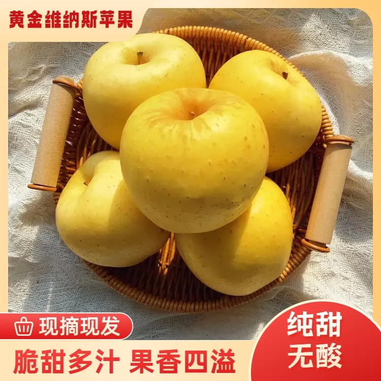 [黄金维纳斯]山东脆甜黄金维纳斯苹果香甜多汁产地直发
