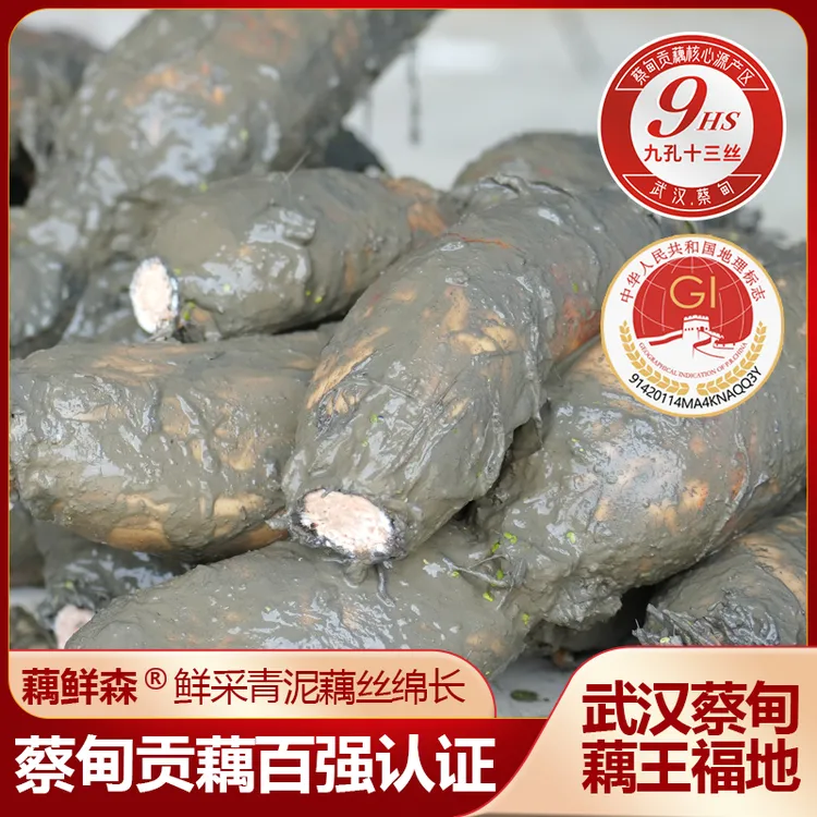 蔡甸粉糯汤藕基地直发地标认证湖北特产香粉王莲花湖2号